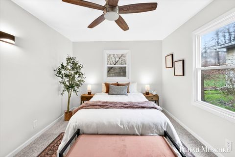 Tiny photo for 206 W Nelson Street, Hastings City, MI 49058 (MLS # 65026013453)