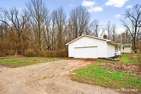 Tiny photo for 206 W Nelson Street, Hastings City, MI 49058 (MLS # 65026013453)