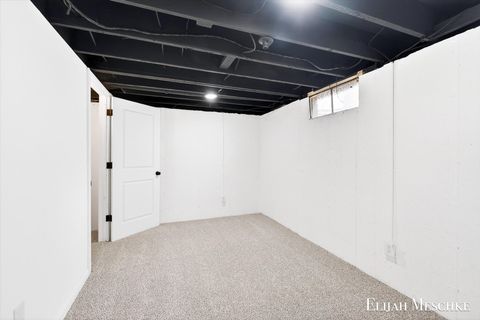 Tiny photo for 206 W Nelson Street, Hastings City, MI 49058 (MLS # 65026013453)