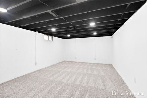 Tiny photo for 206 W Nelson Street, Hastings City, MI 49058 (MLS # 65026013453)