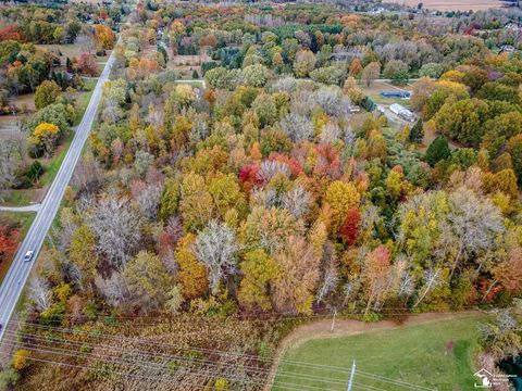 Parcel B Summerfield Road Summerfield Township MI 49270