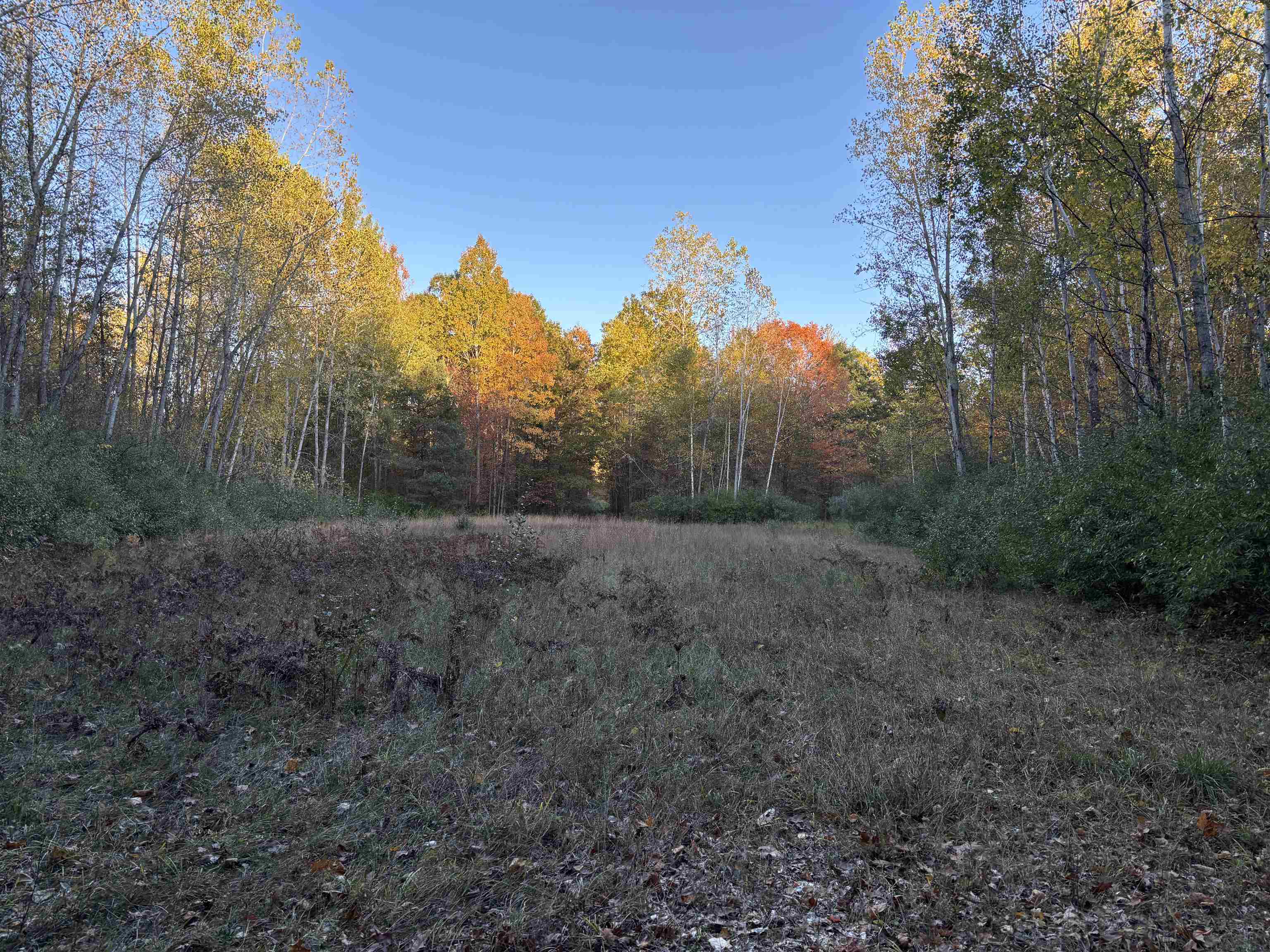 10000 E Pickard Road