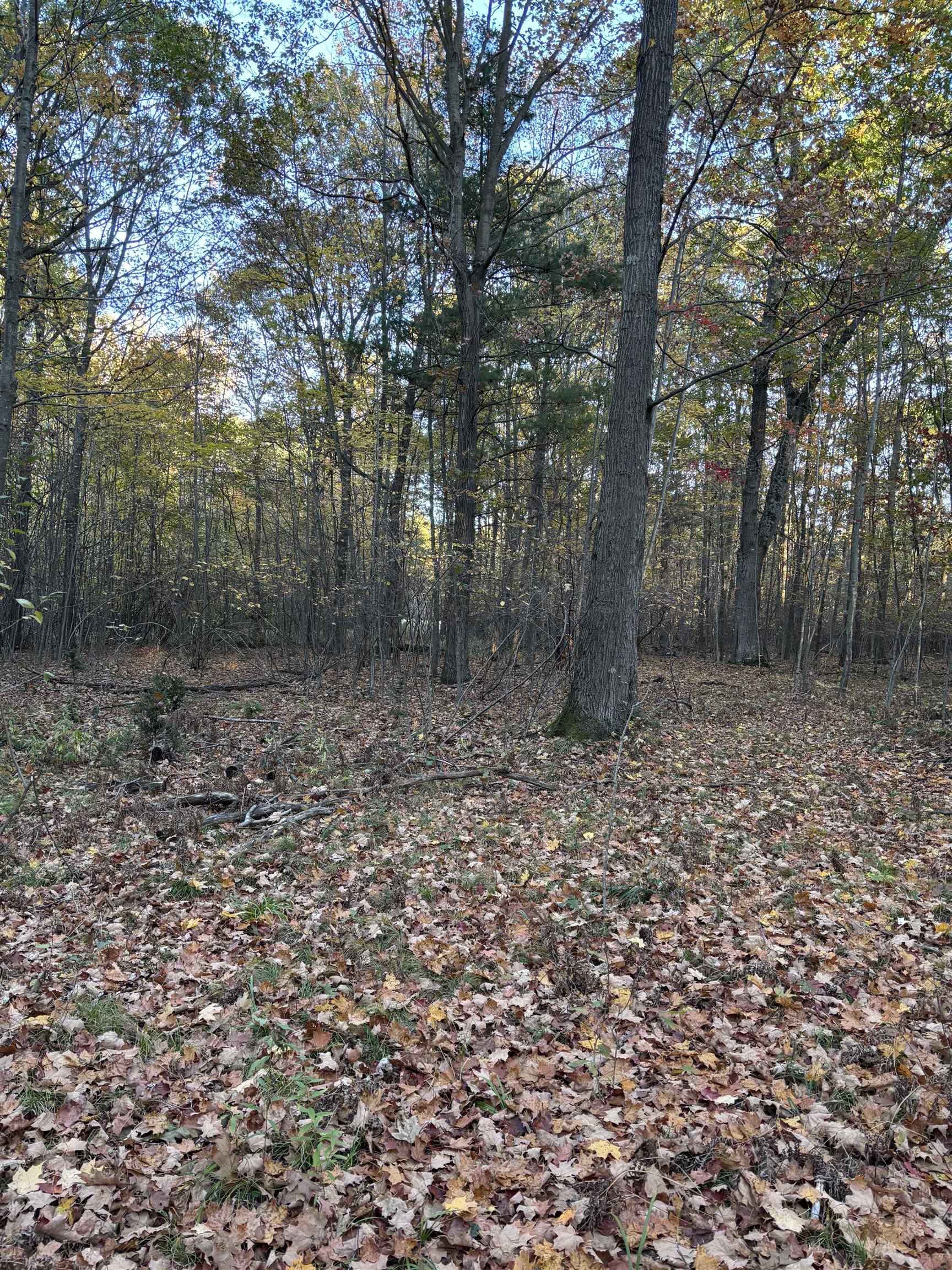 10000 E Pickard Road