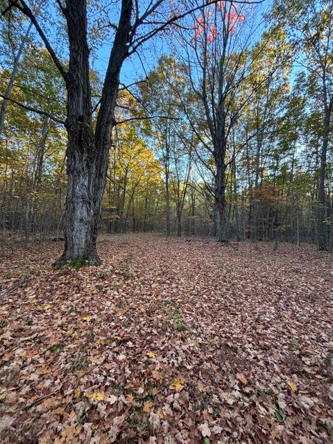 10000 E Pickard Road Chippewa Township MI 48858