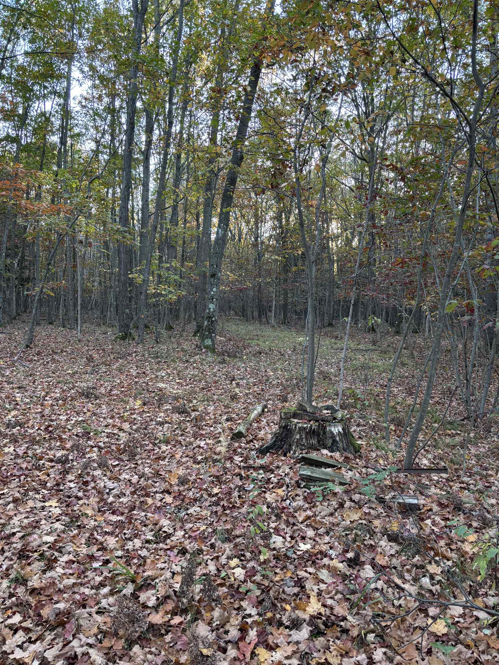 10000 E Pickard Road