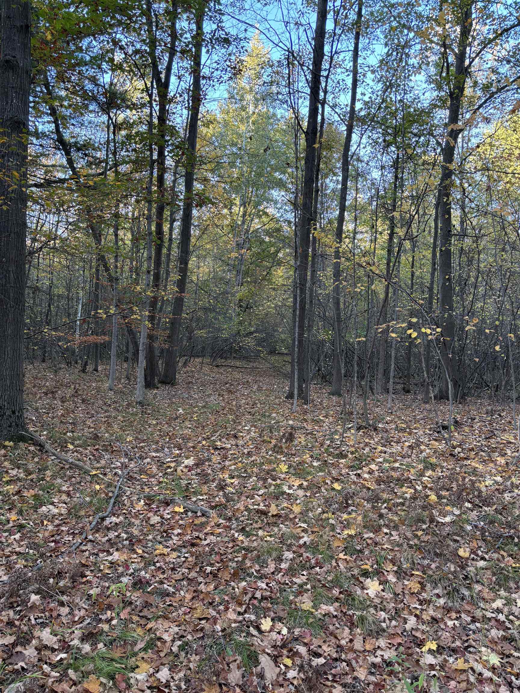 10000 E Pickard Road