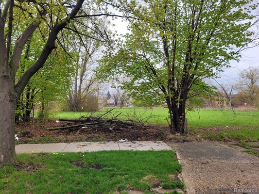 3346 ROCHESTER ST, DETROIT, MI 48206 - Image 0d2a22988cfc9203c83a70cec88b3f4e/508749862
