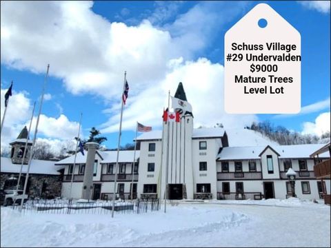 29 Undervalden Drive Custer Township MI 49615