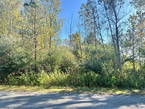 0 S 11 Mile Road Beaver Township MI 48634