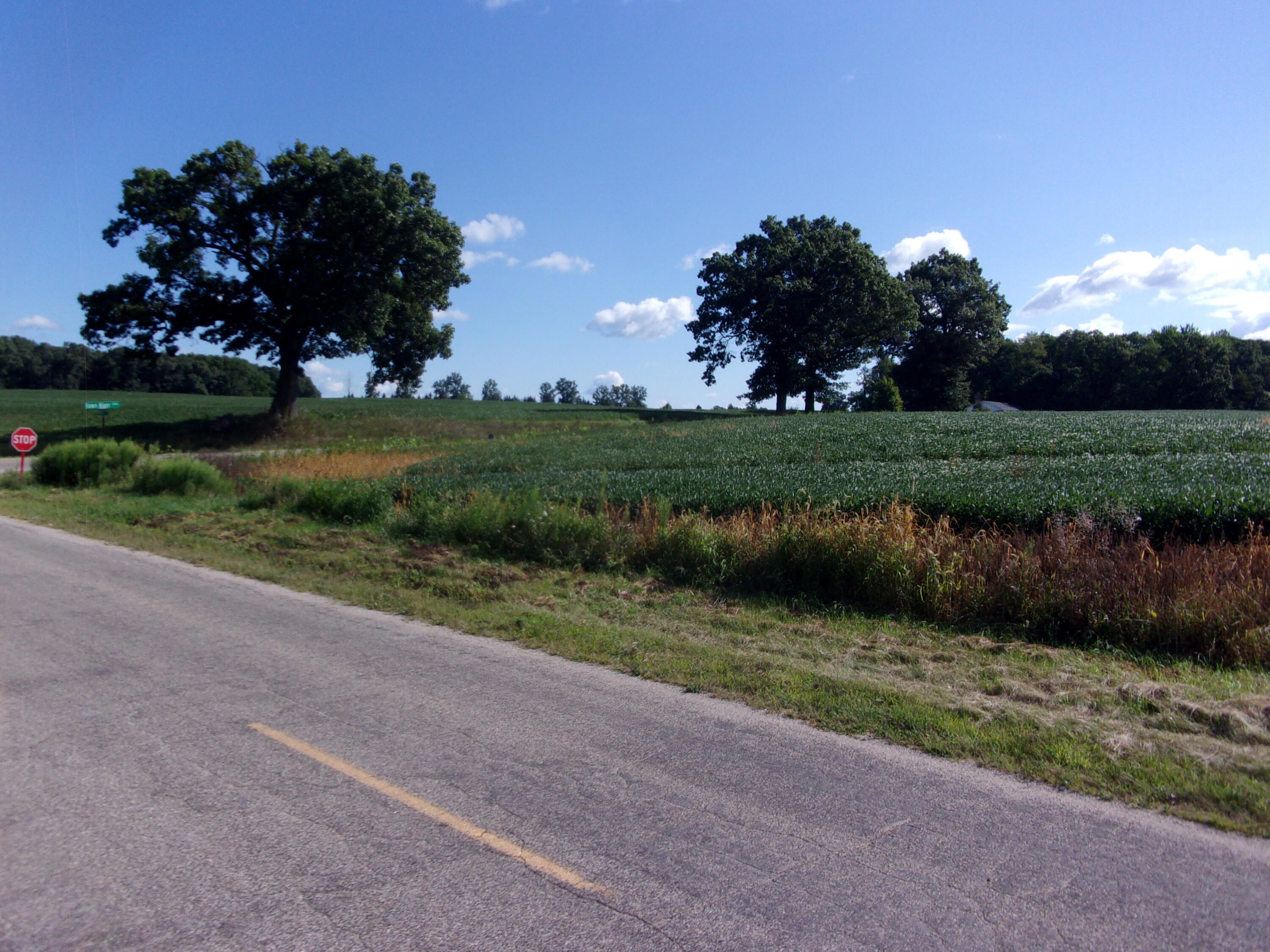 Fawn River Township, Michigan 49030, United States, ,Land,Active,198172