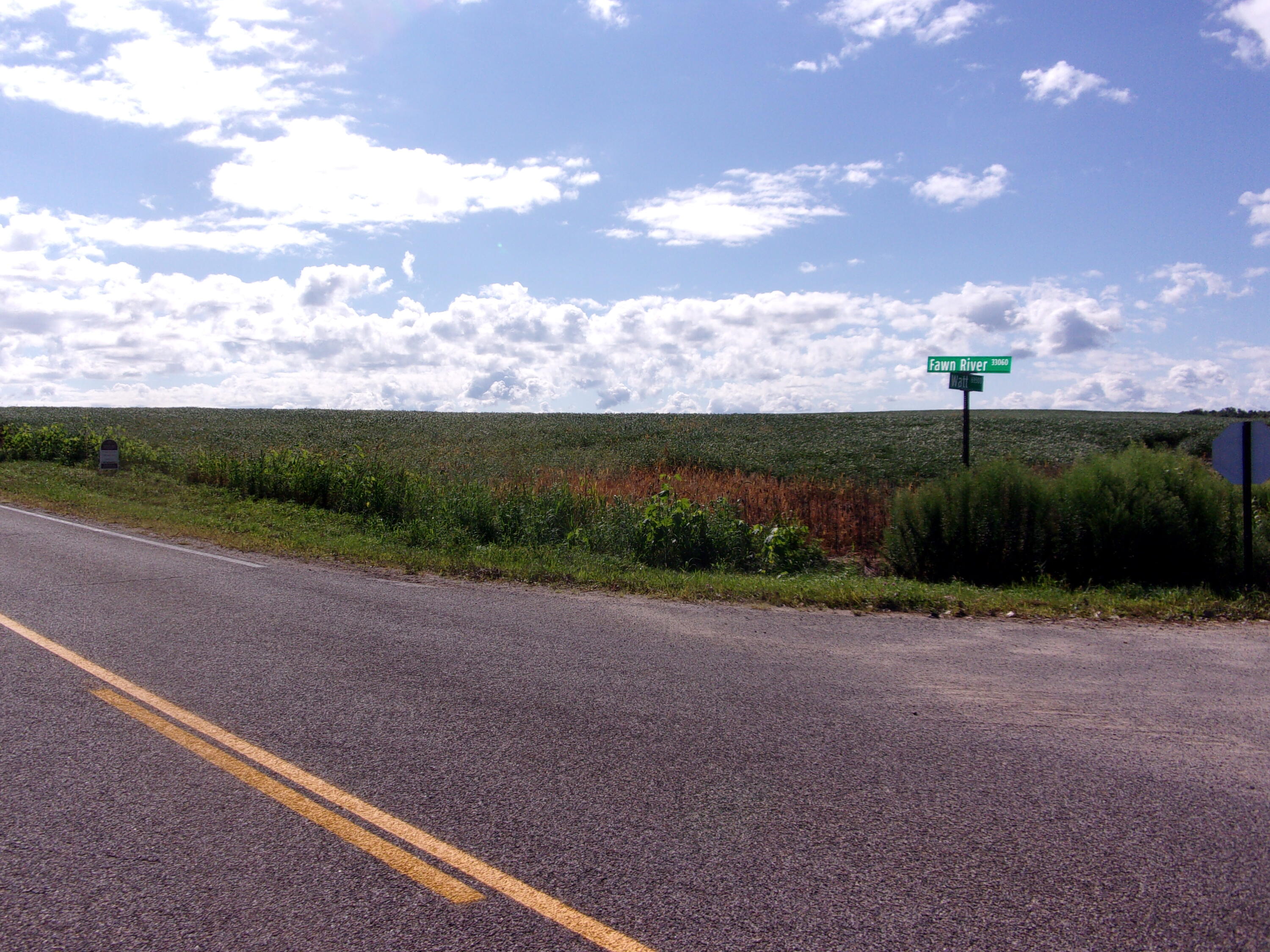 Fawn River Township, Michigan 49030, United States, ,Land,Active,198172