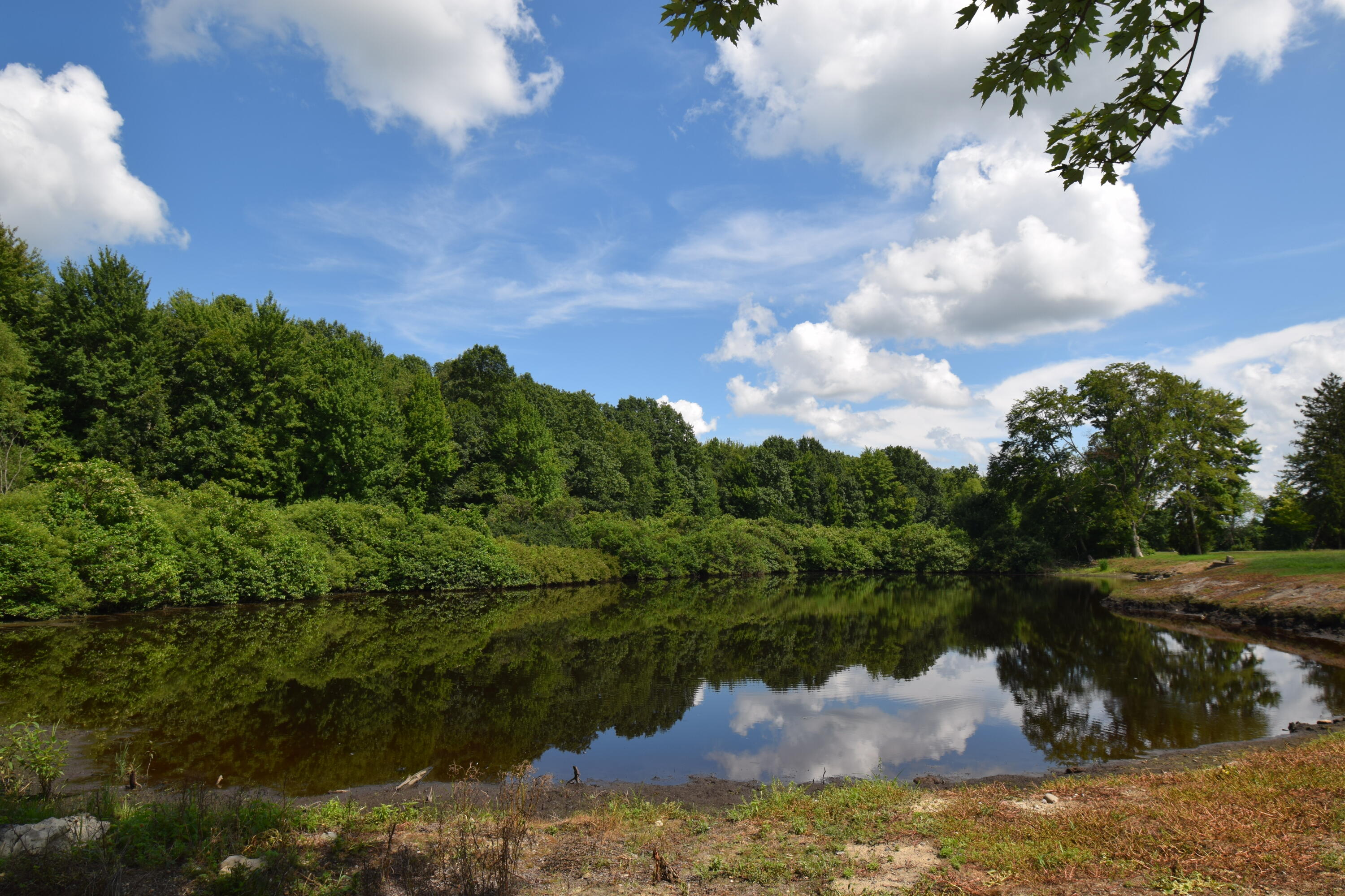 71627 County Road 681