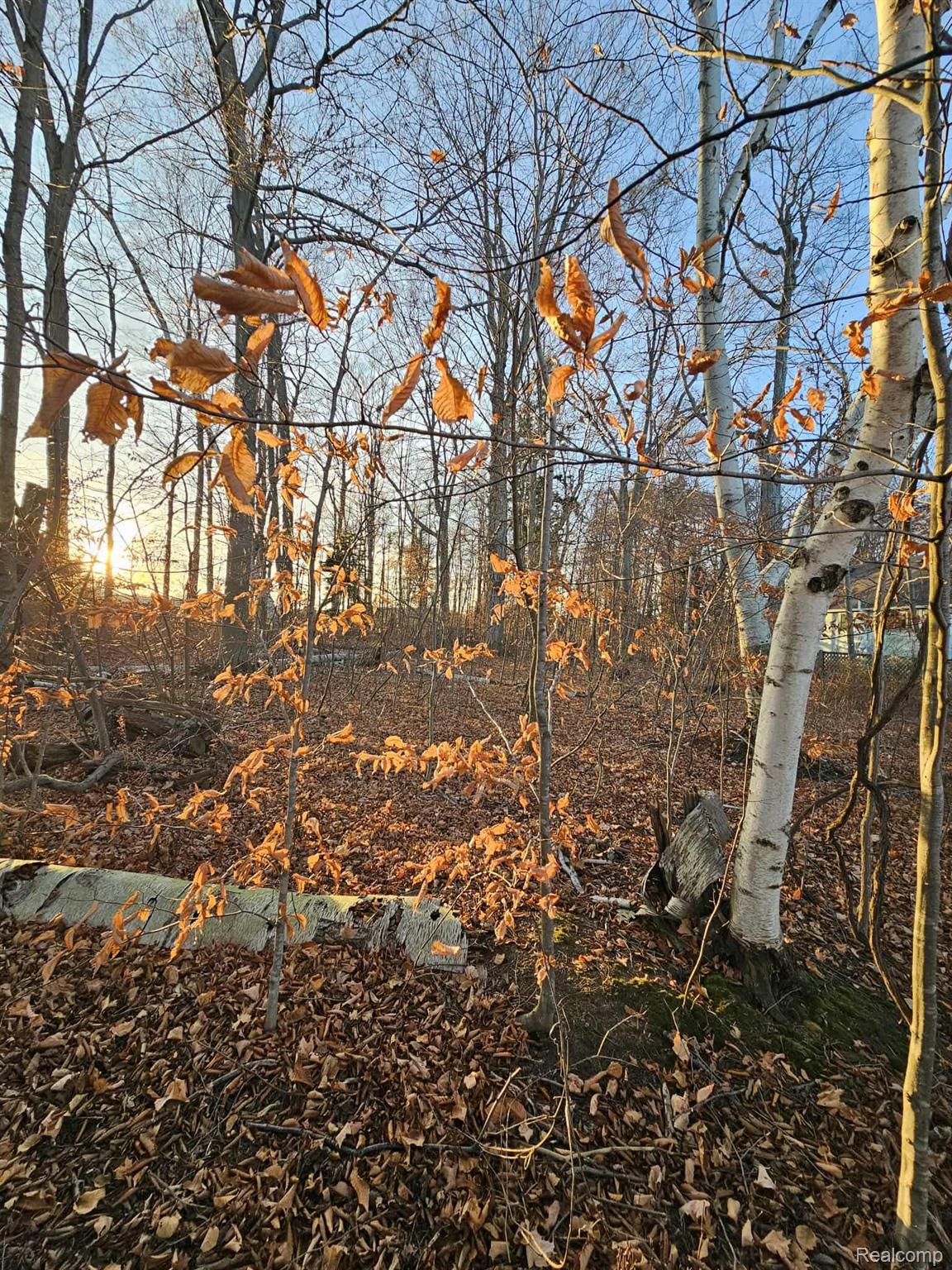 00 N Lakeshore Drive