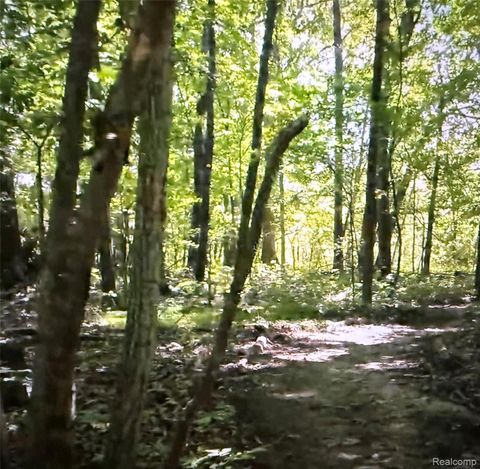 00 Rolling Acres Drive Rolling Acres Drive Brandon Charter Township MI 48462