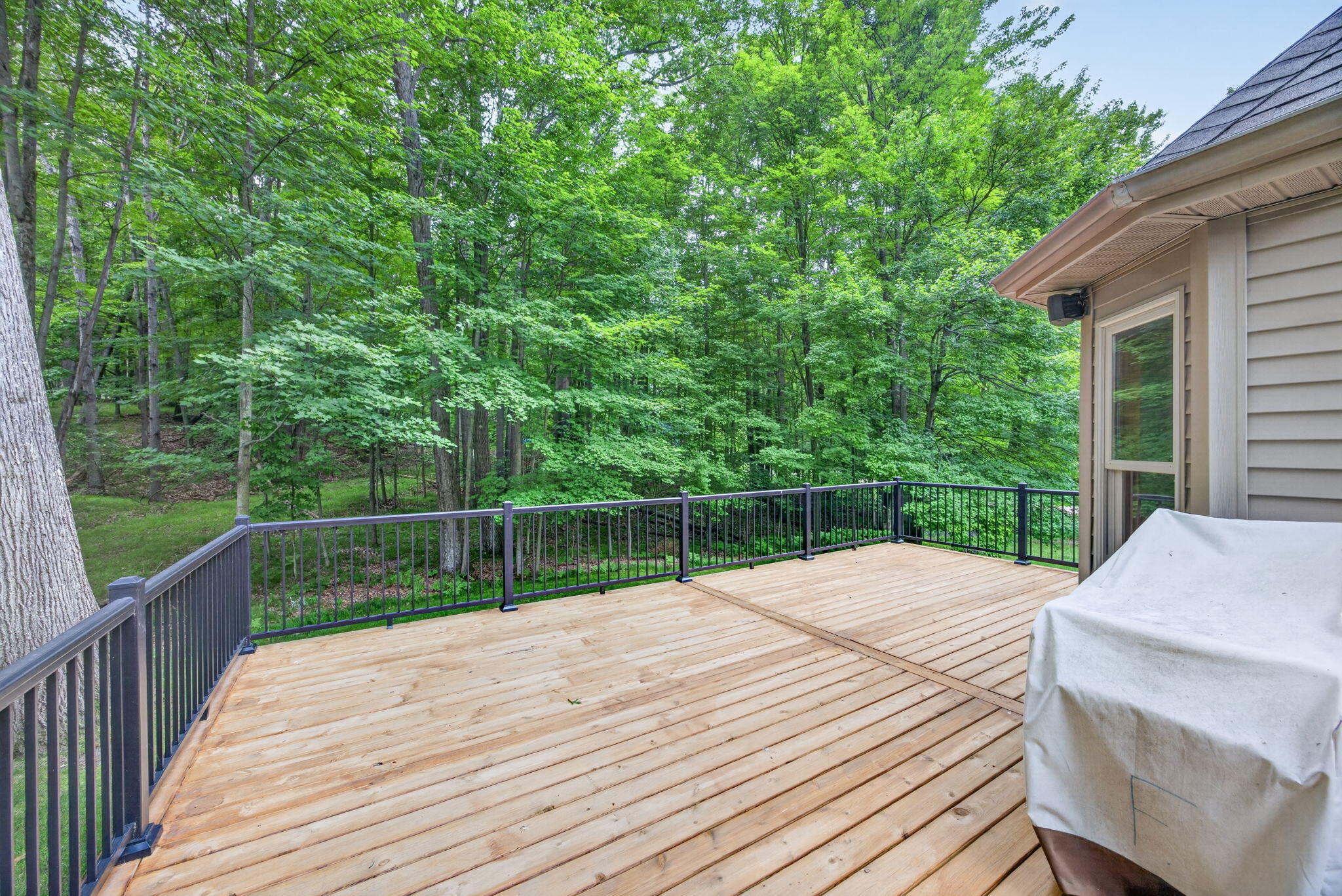 10372 Mountain View Trail