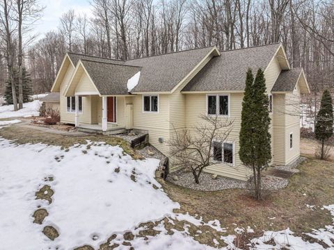 9871 E Woodcrest Court Bingham Township MI 49682