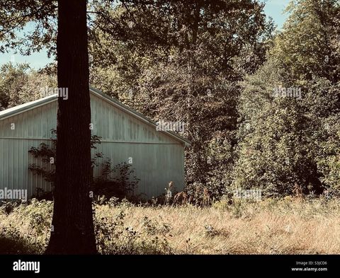 VL E VIENNA Road NE Forest Township MI 48463
