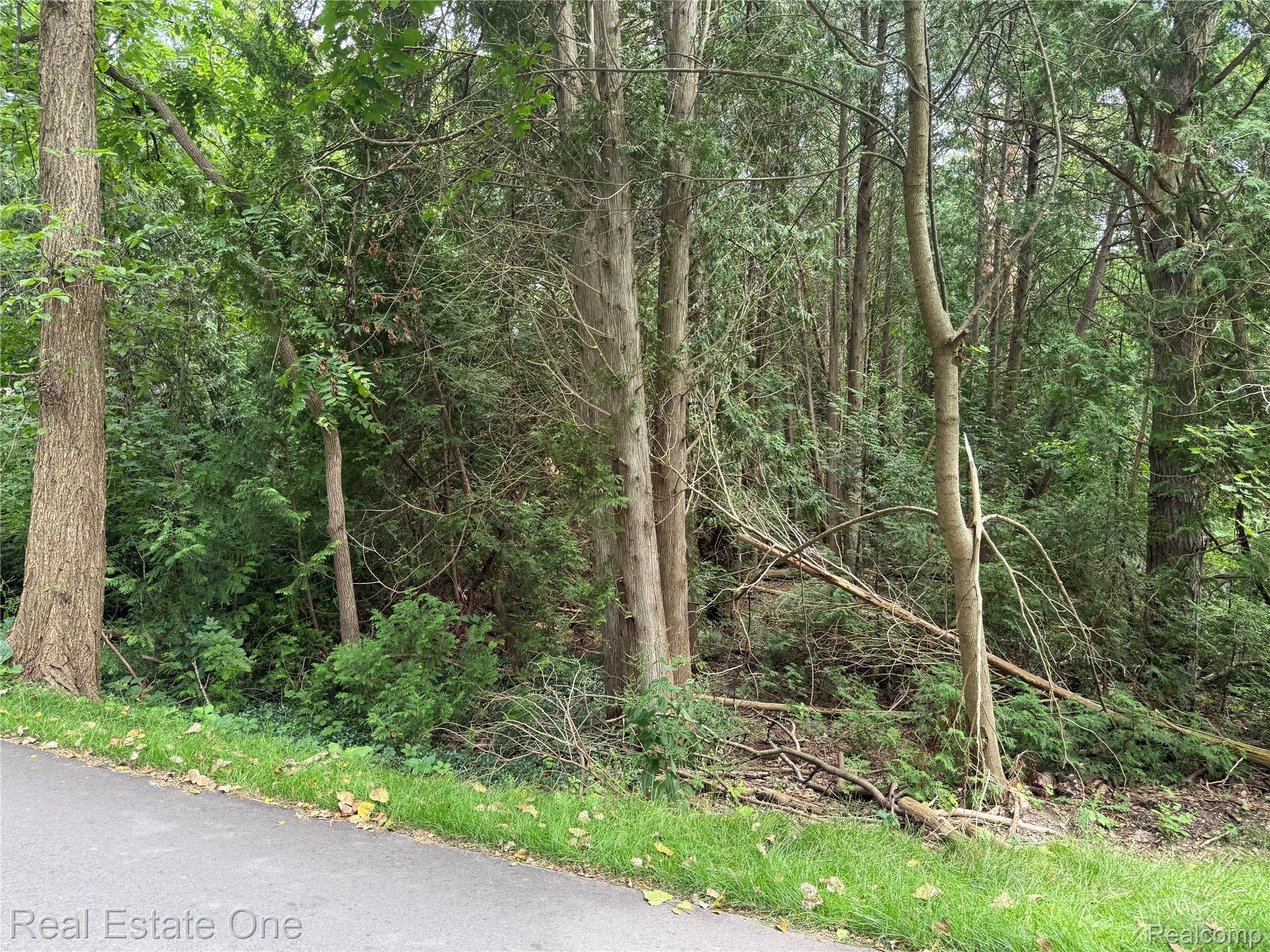 Lot 62 Plover Drive