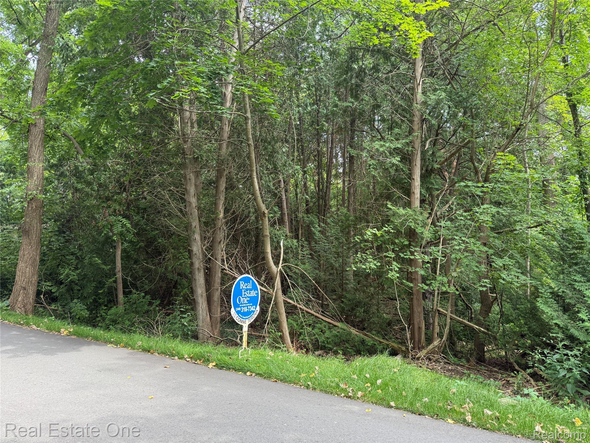 Lot 62 Plover Drive