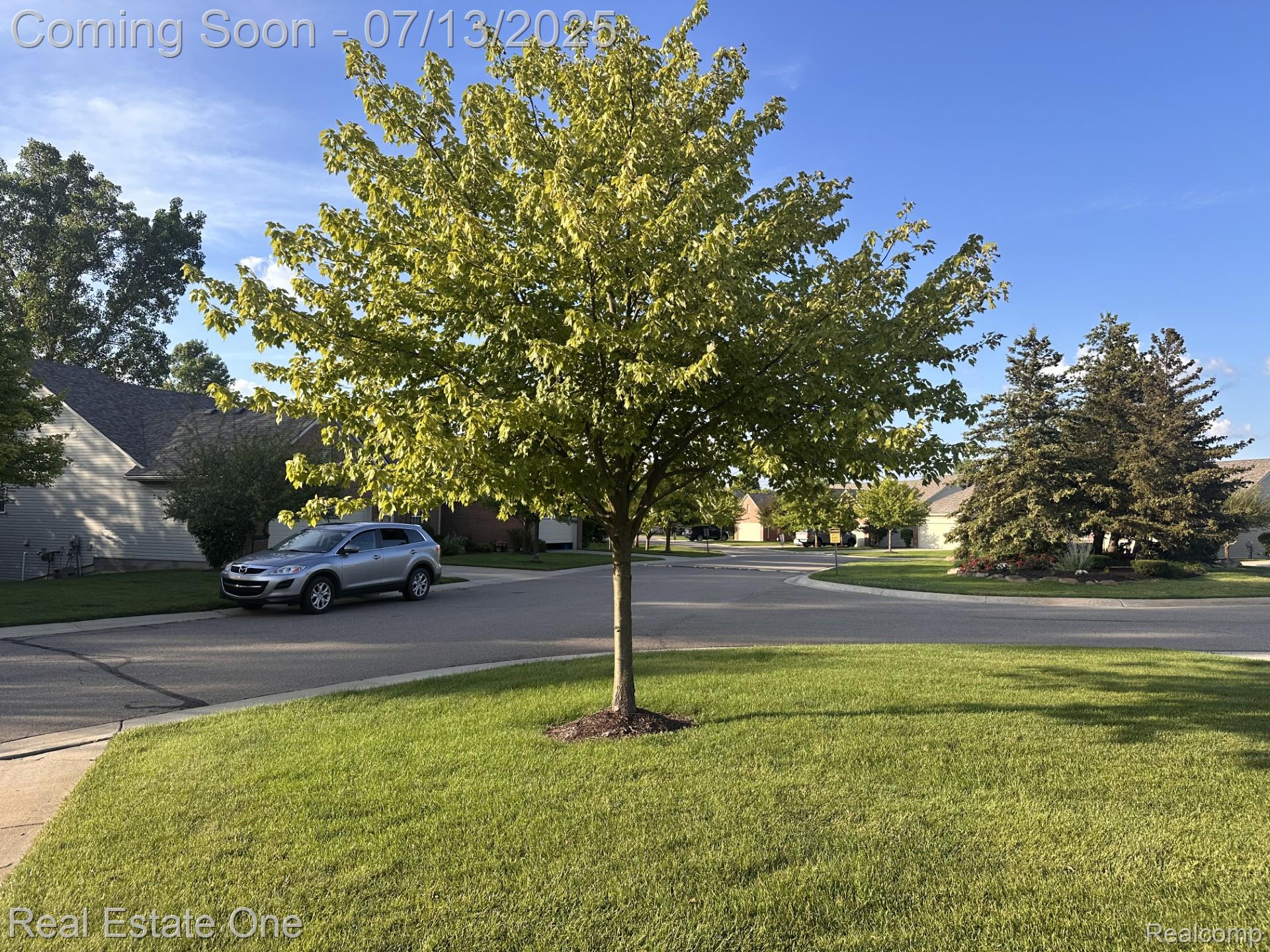 820 Woodhaven Drive Drive