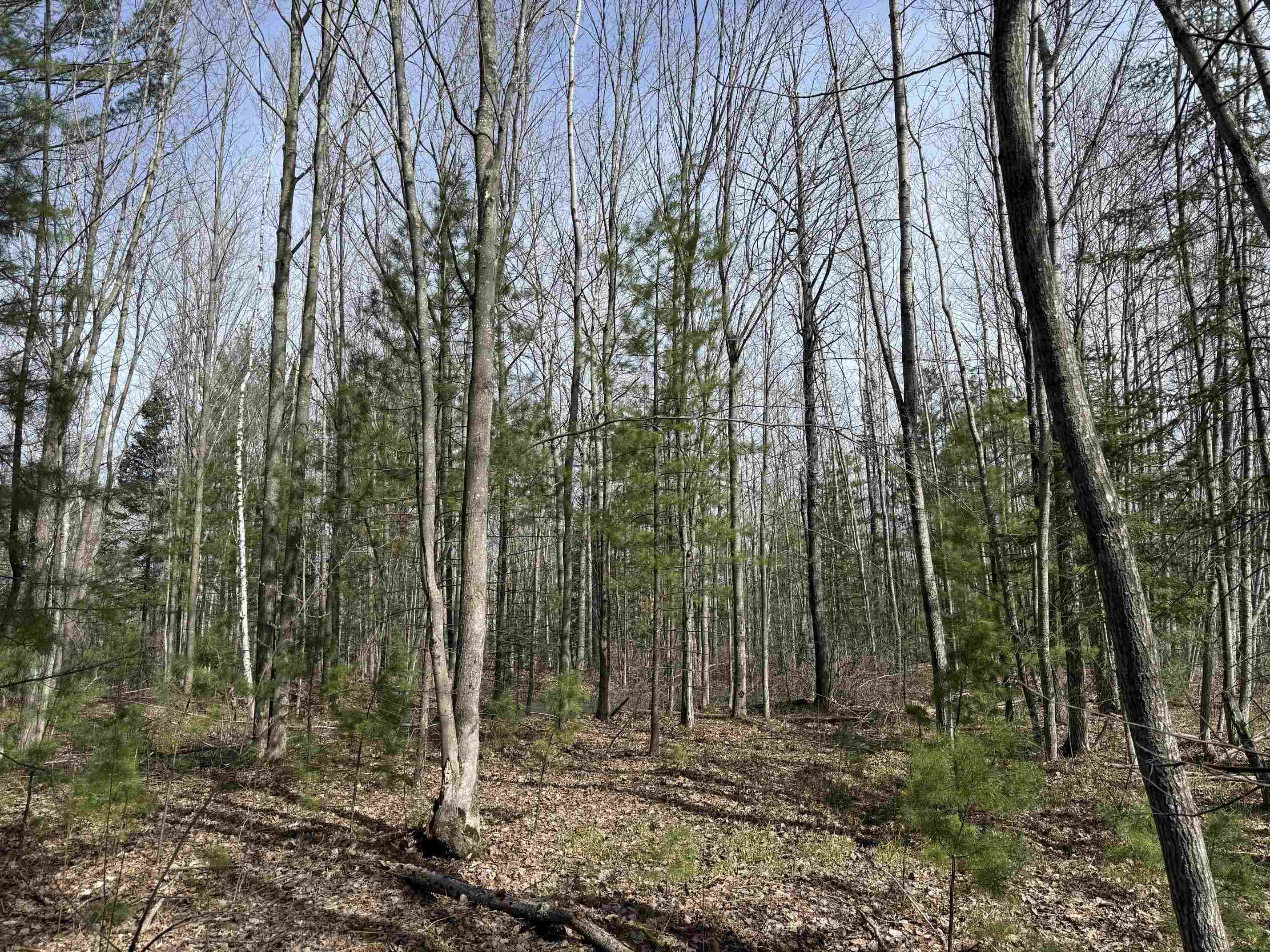 0 Michaud Road