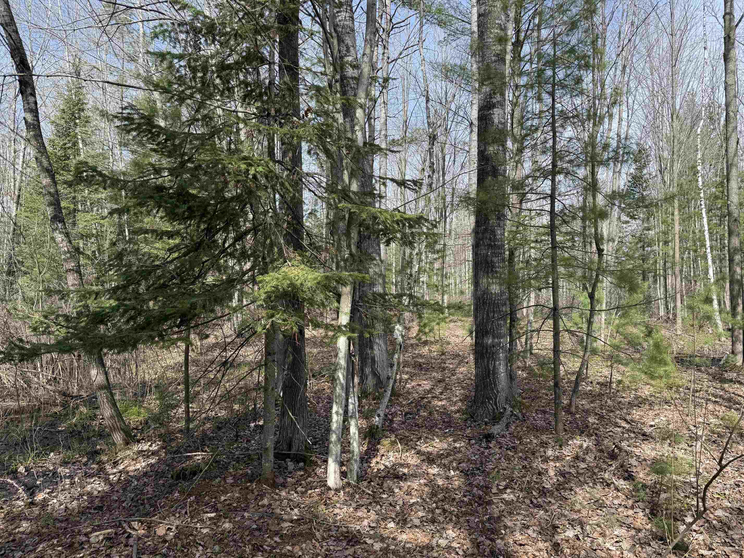 0 Michaud Road