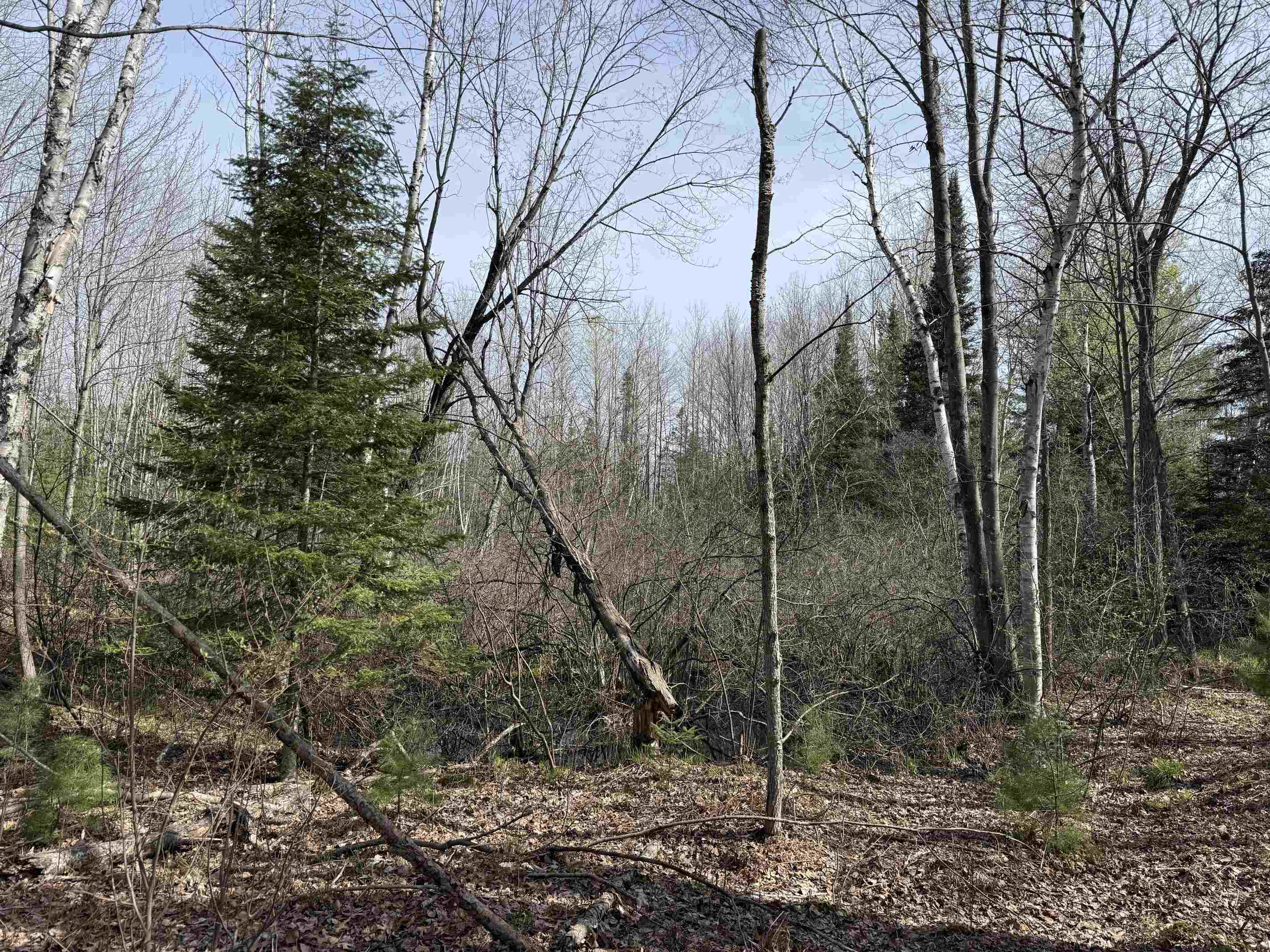 0 Michaud Road