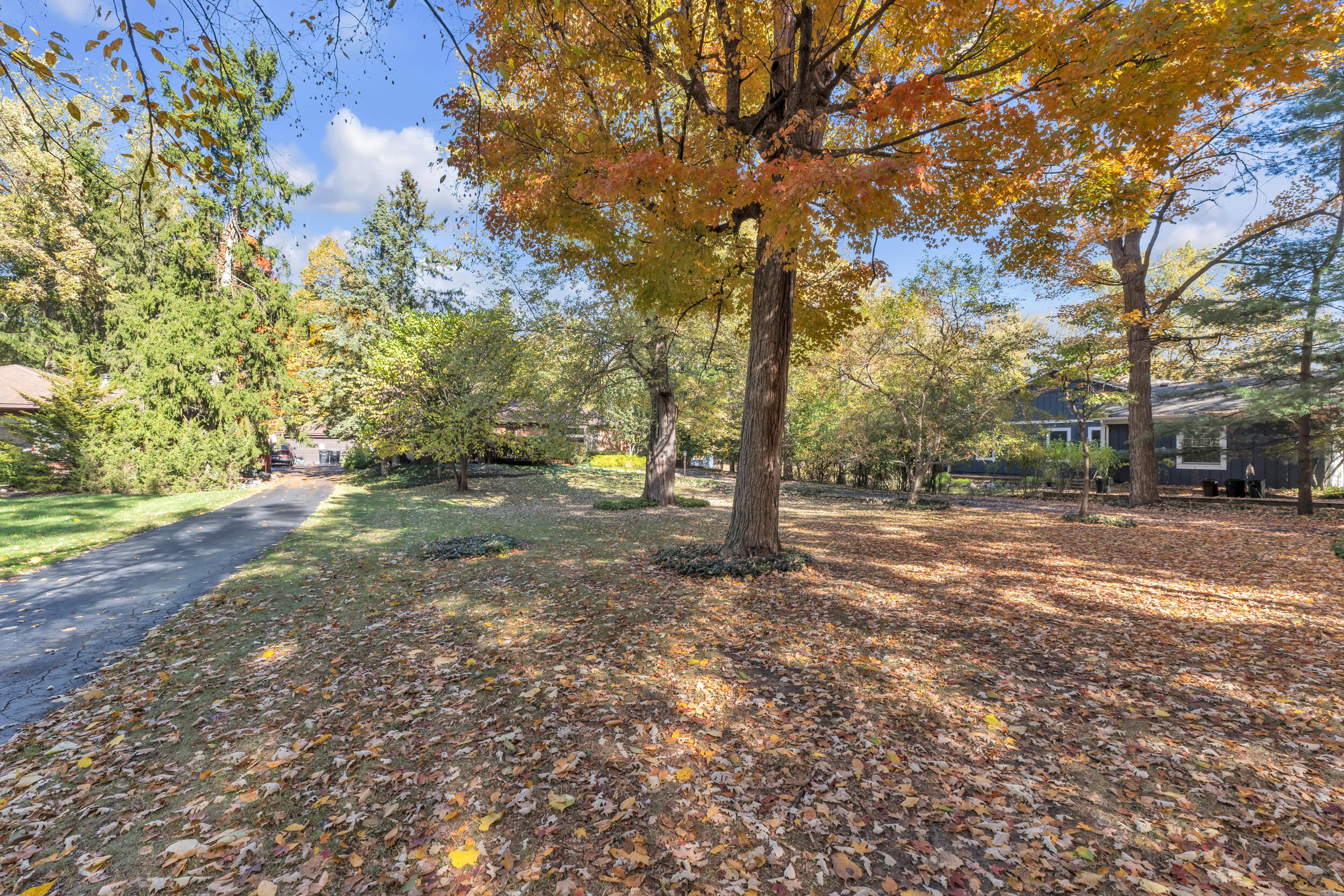 29766 Puritan Street