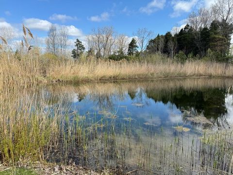 14605 Apple Ave Casnovia Township MI 49318