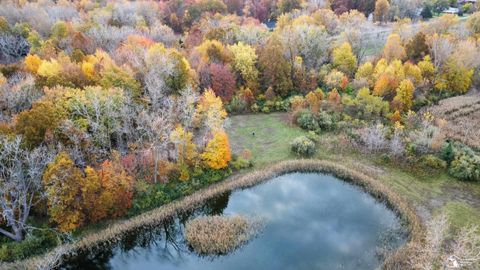 3886 Douglas Road Ida Township MI 48140