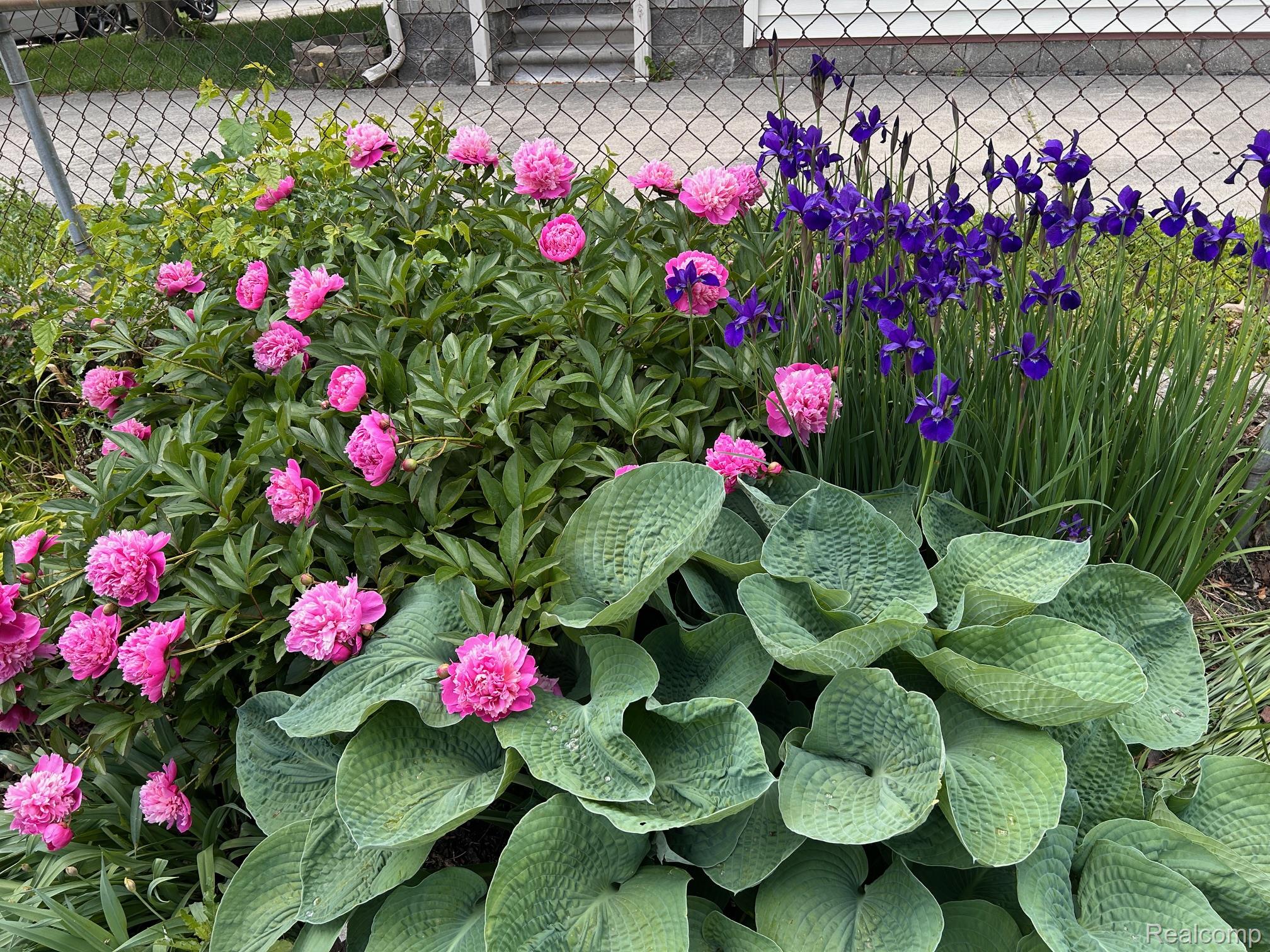 Taylor City, Michigan 48180, United States, 3 Bedrooms Bedrooms, ,2 BathroomsBathrooms,Residential,Coming Soon,168638