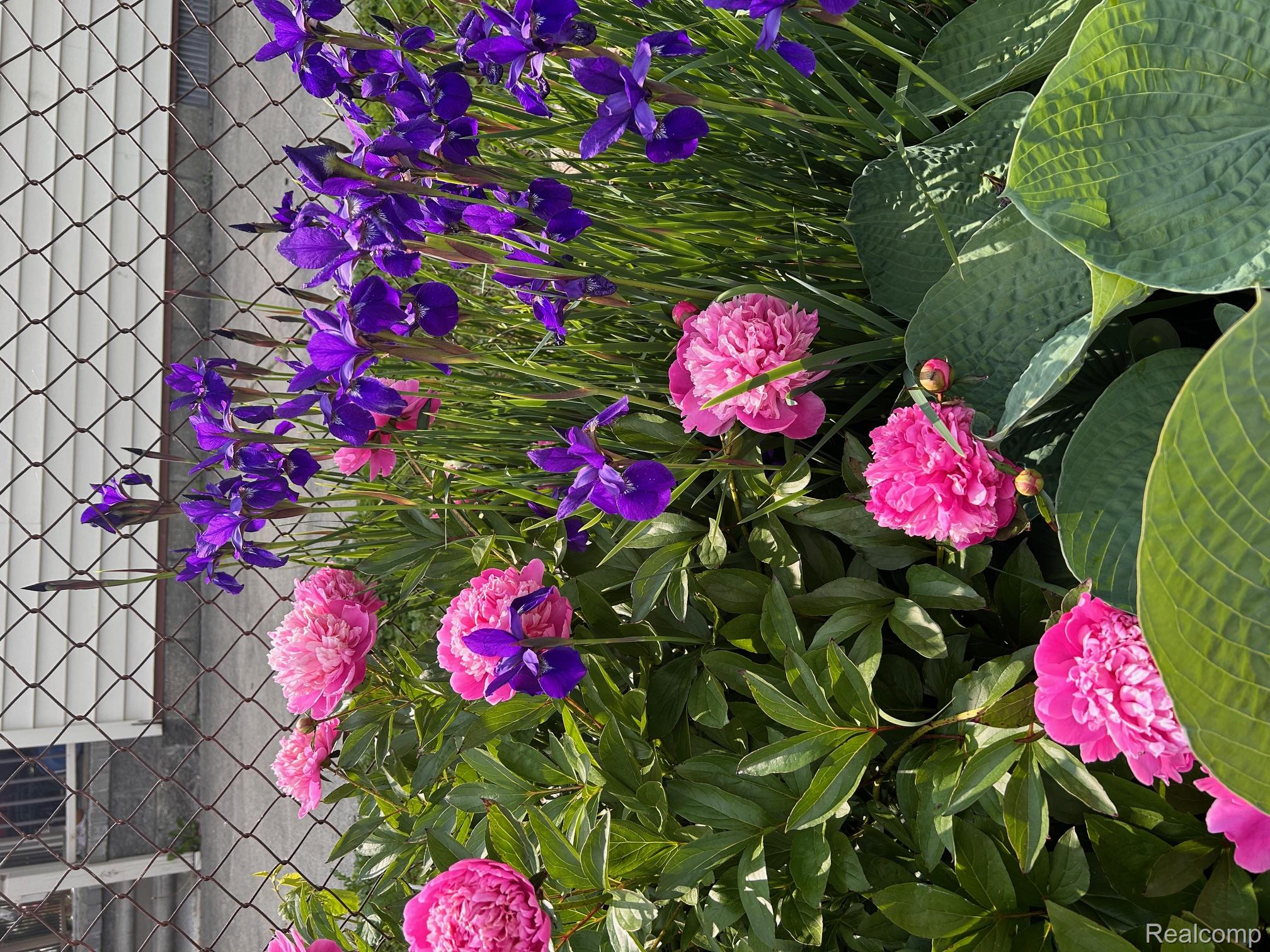 Taylor City, Michigan 48180, United States, 3 Bedrooms Bedrooms, ,2 BathroomsBathrooms,Residential,Coming Soon,168638