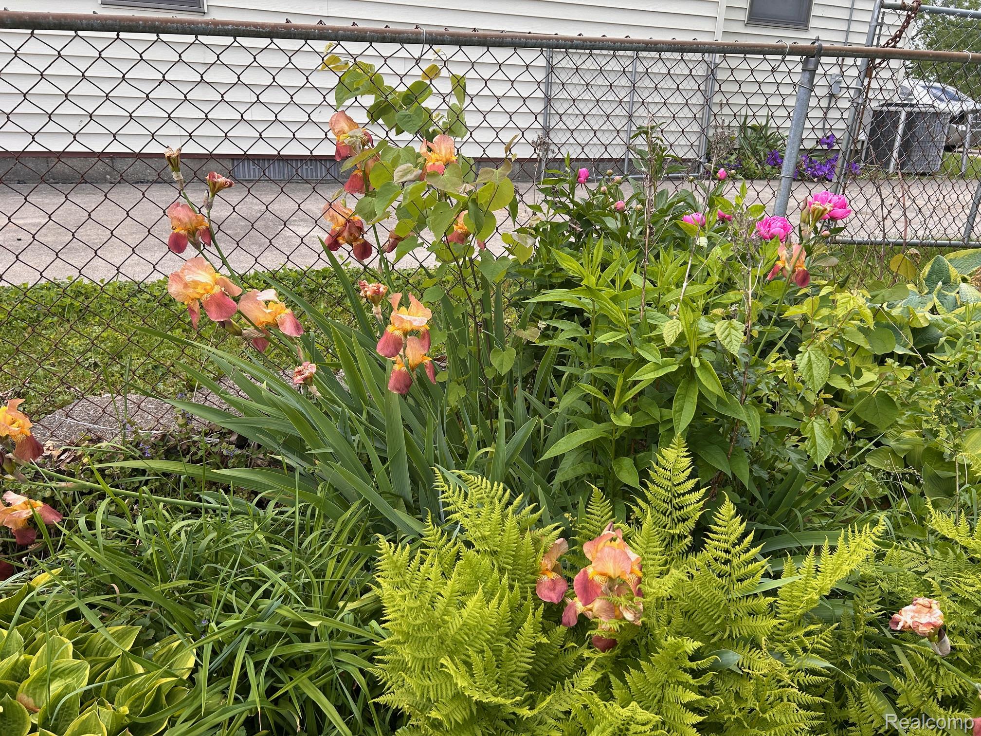 Taylor City, Michigan 48180, United States, 3 Bedrooms Bedrooms, ,2 BathroomsBathrooms,Residential,Coming Soon,168638