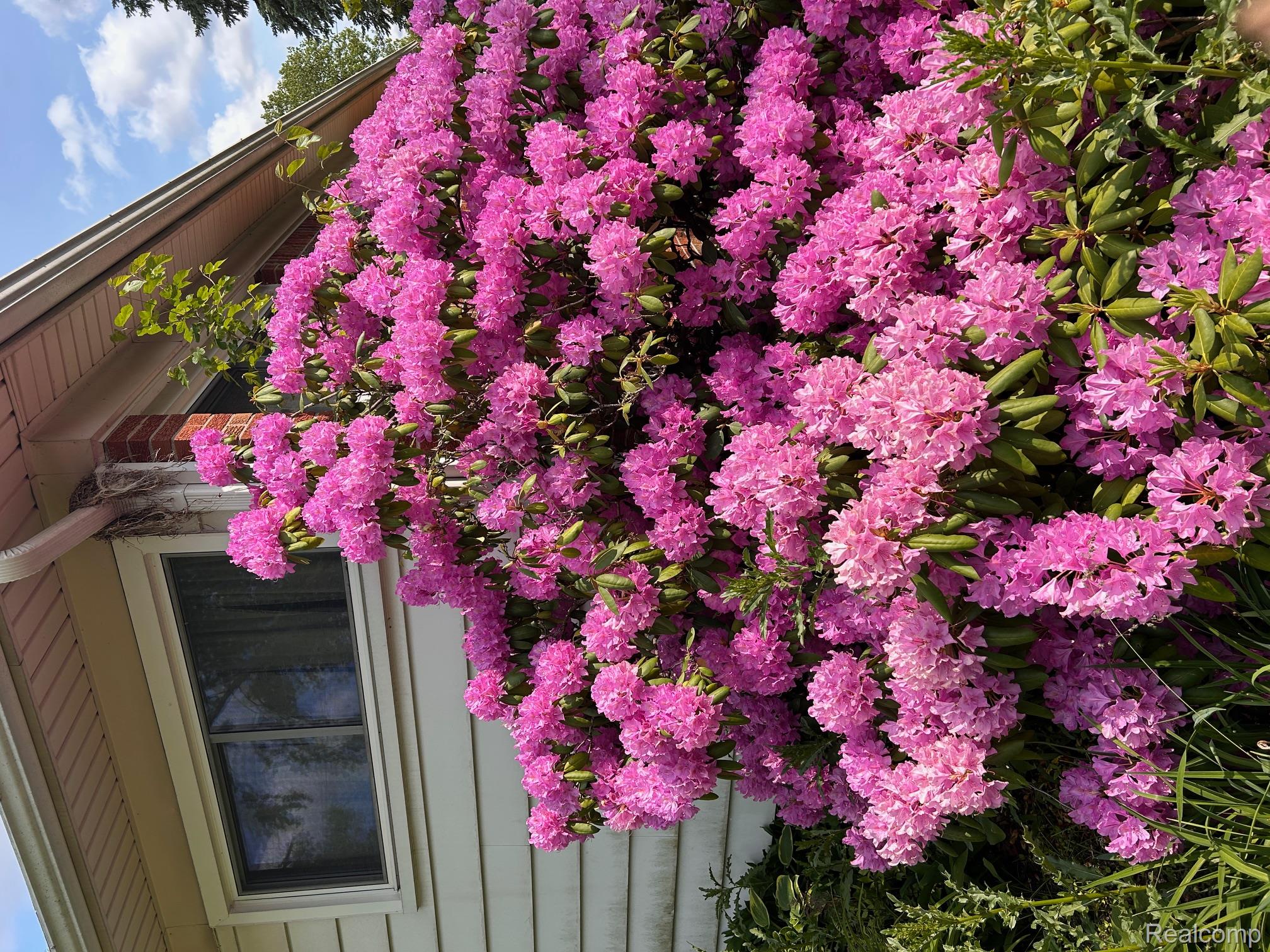 Taylor City, Michigan 48180, United States, 3 Bedrooms Bedrooms, ,2 BathroomsBathrooms,Residential,Coming Soon,168638