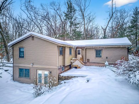 Photo of 4333 Creekside Drive, Fruitland Township, MI 49461 (MLS # 71025061878)