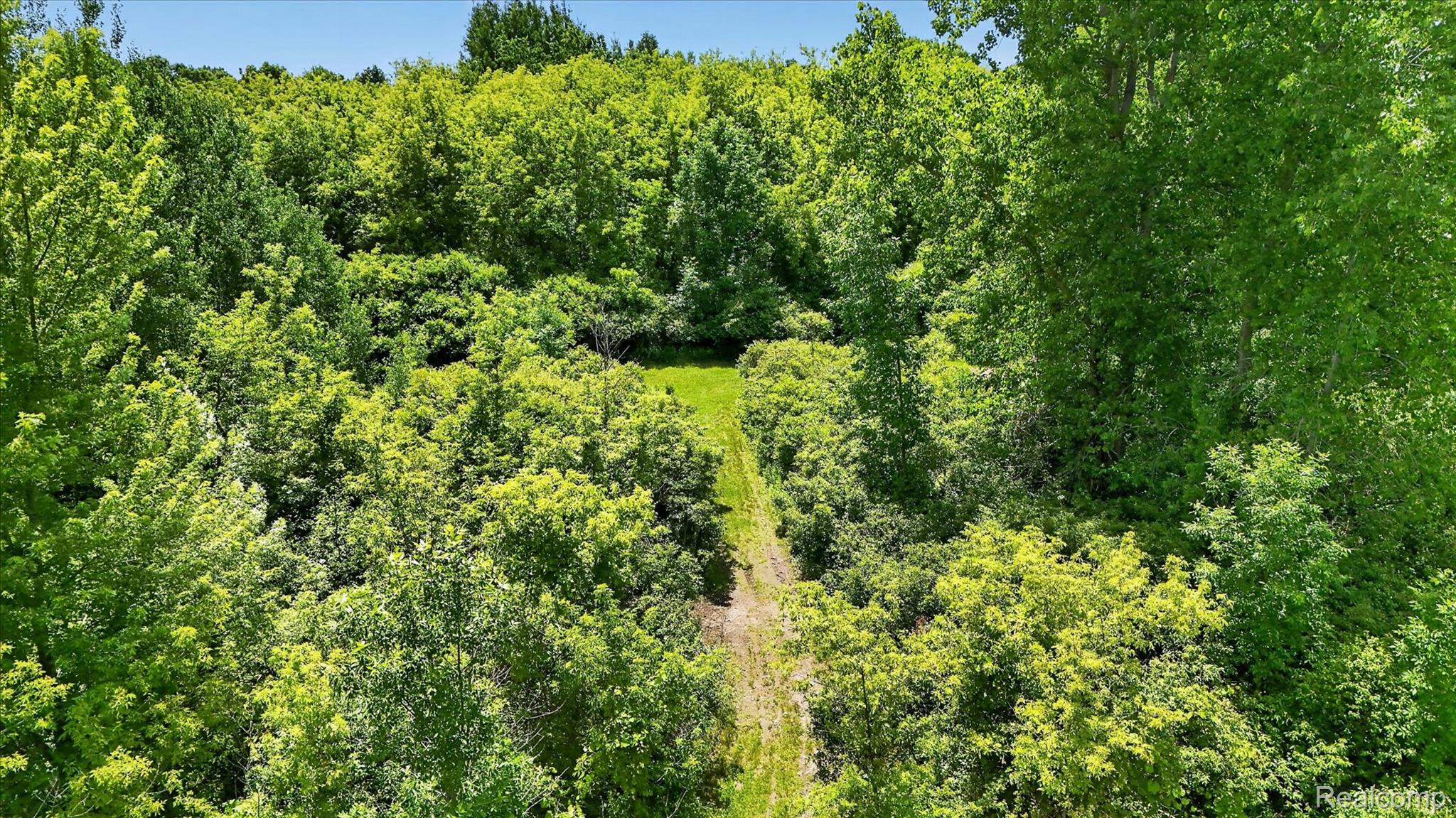 4461 Ray Road