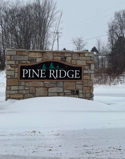000 Pine Ridge Drive Deerfield Township MI 48858