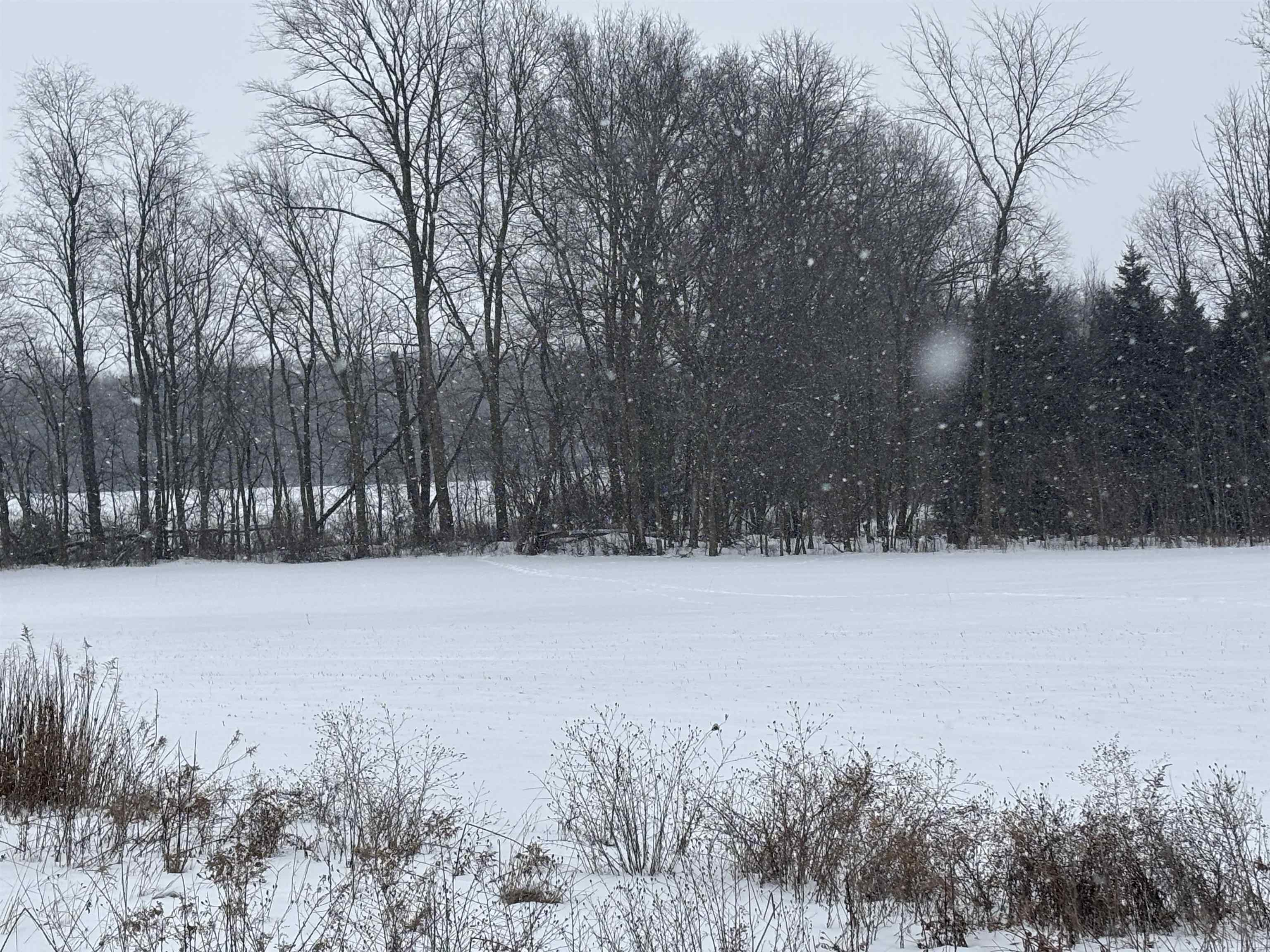 000 Pine Ridge Drive