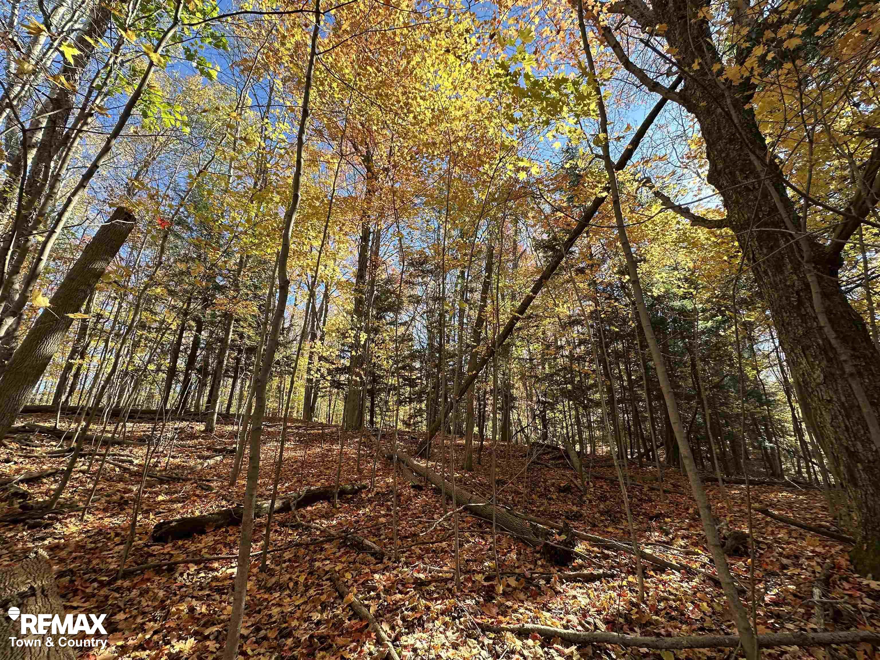 3077 Phelps Lake Road