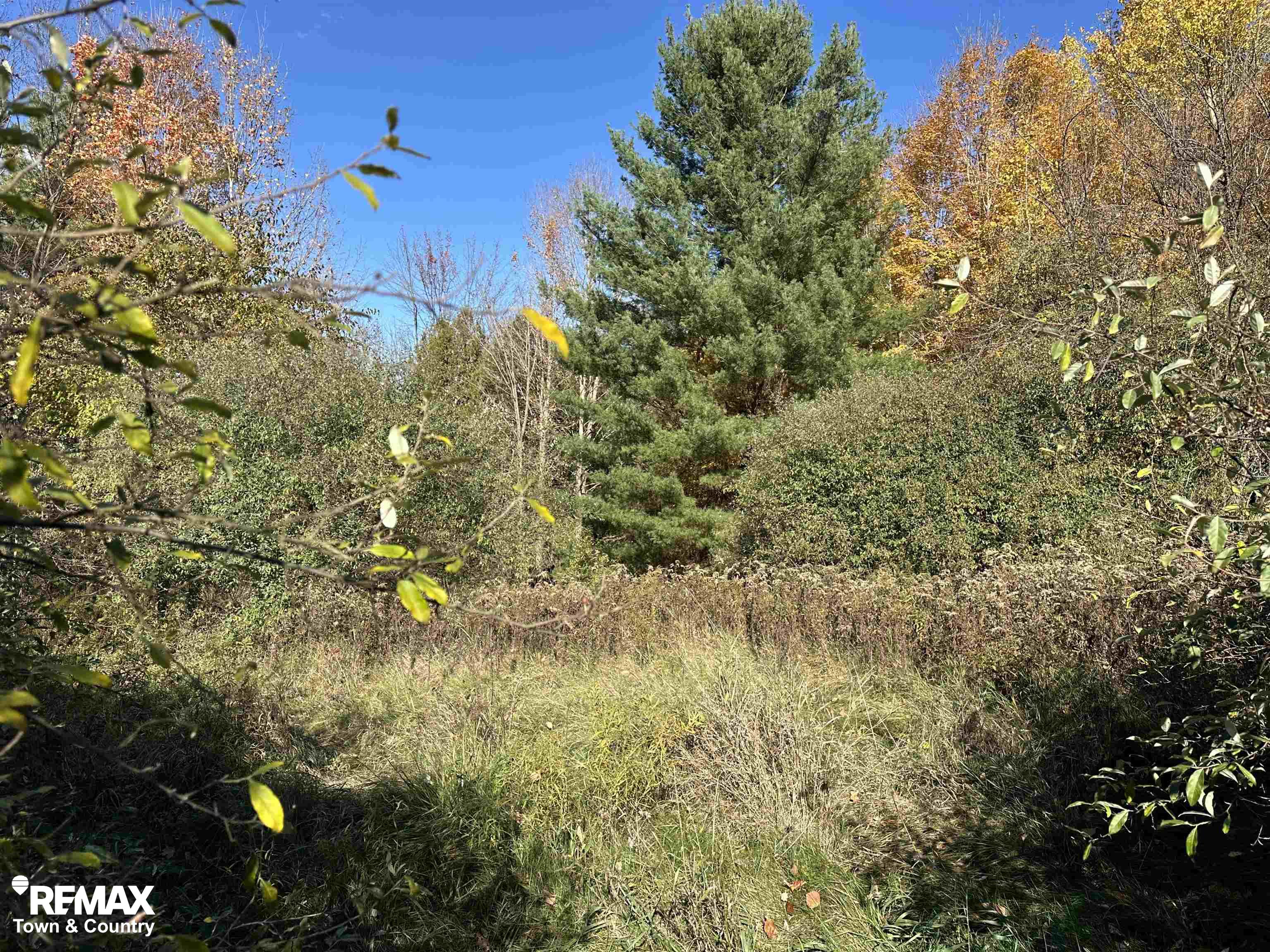 3077 Phelps Lake Road