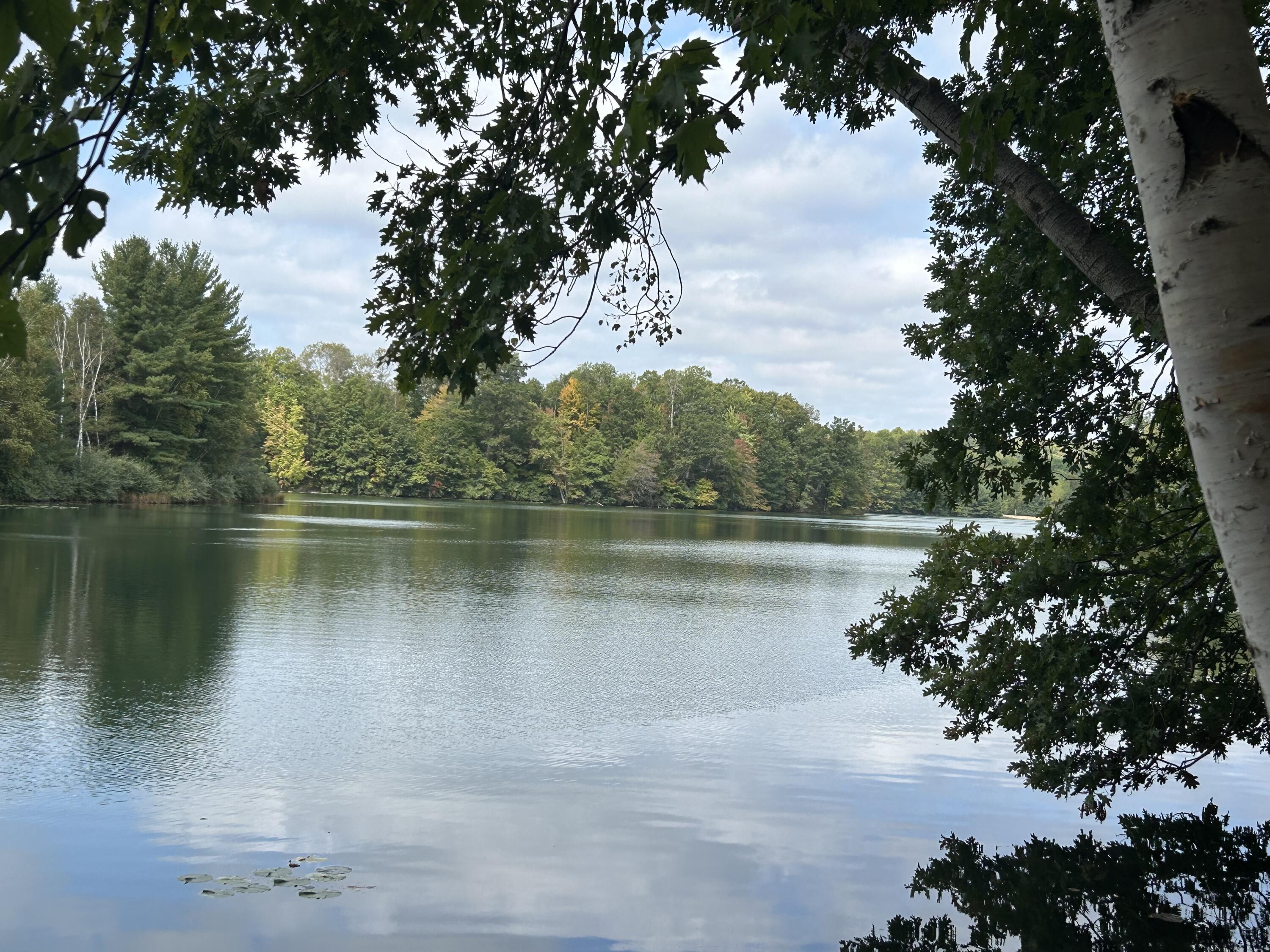 8601 N. Island Drive 41