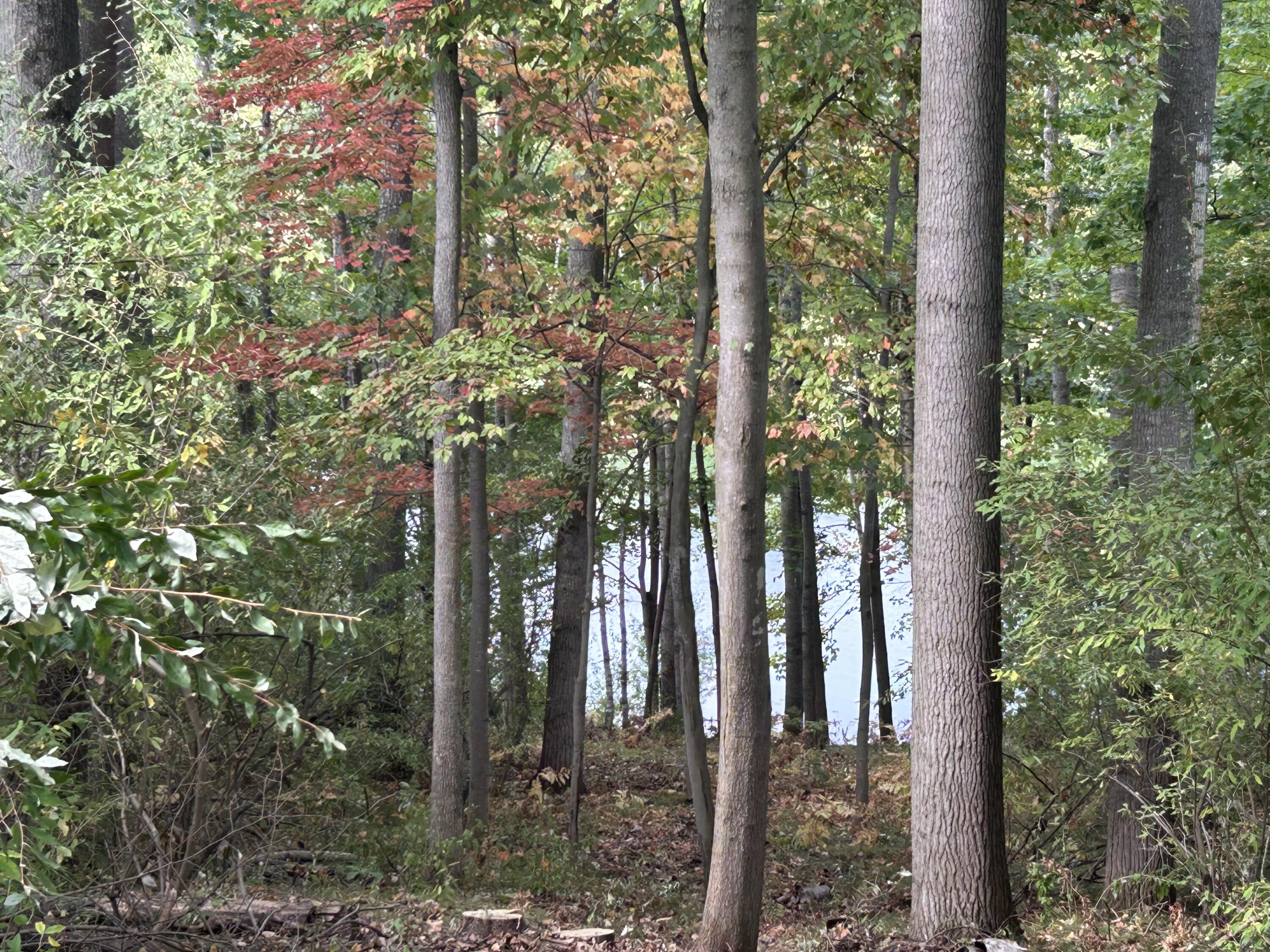 8601 N. Island Drive 41