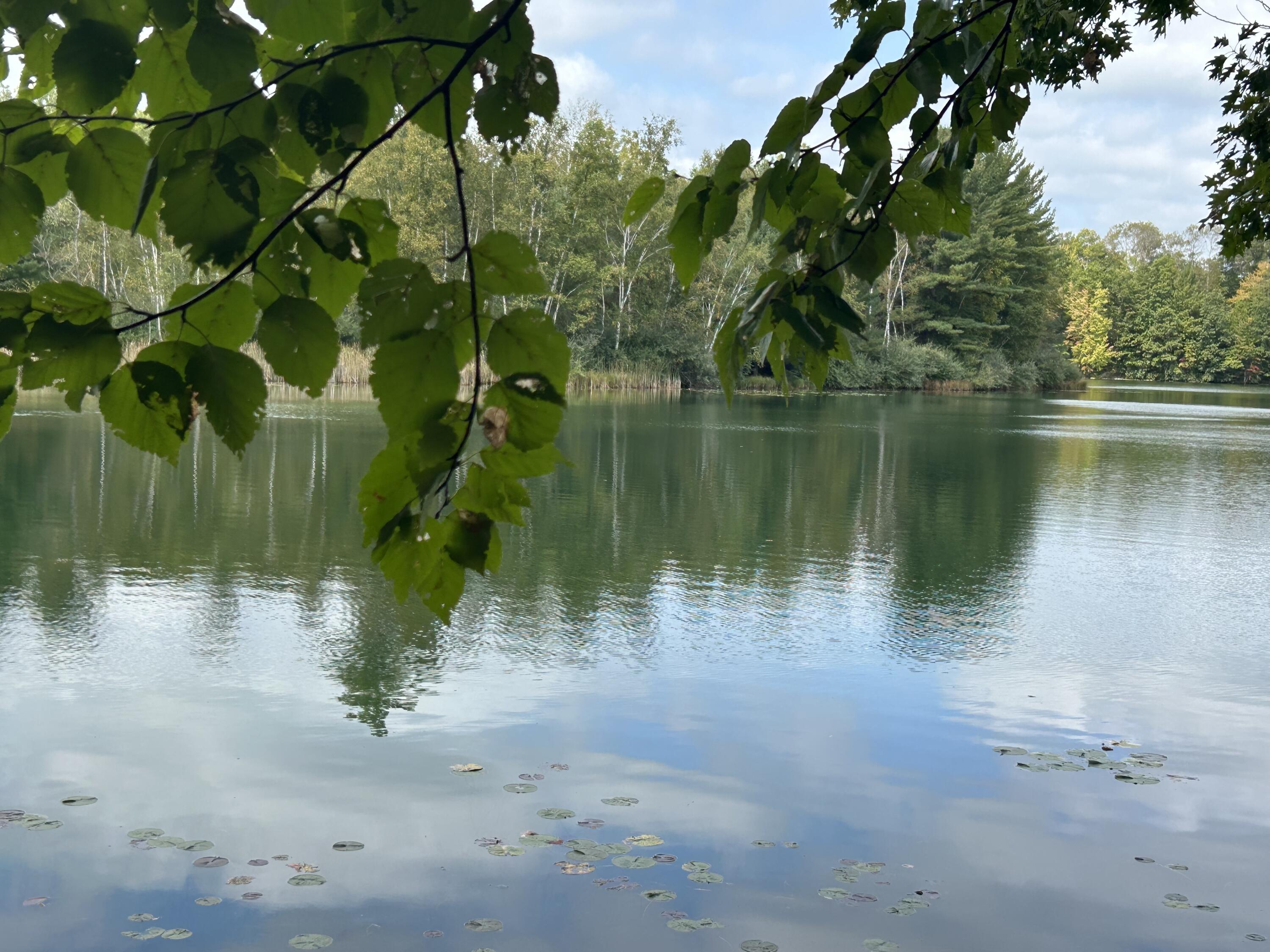 8601 N. Island Drive 41