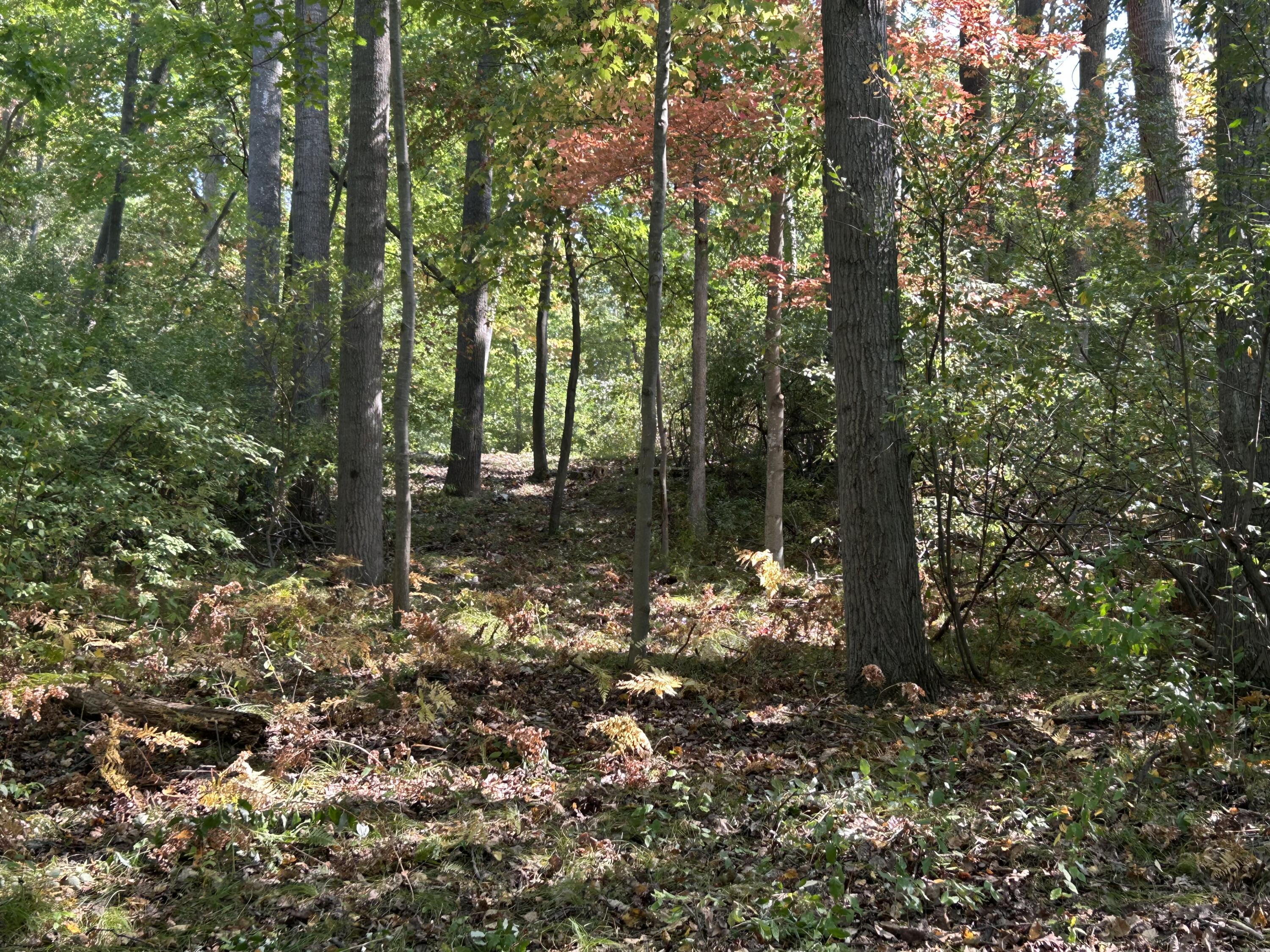 8601 N. Island Drive 41