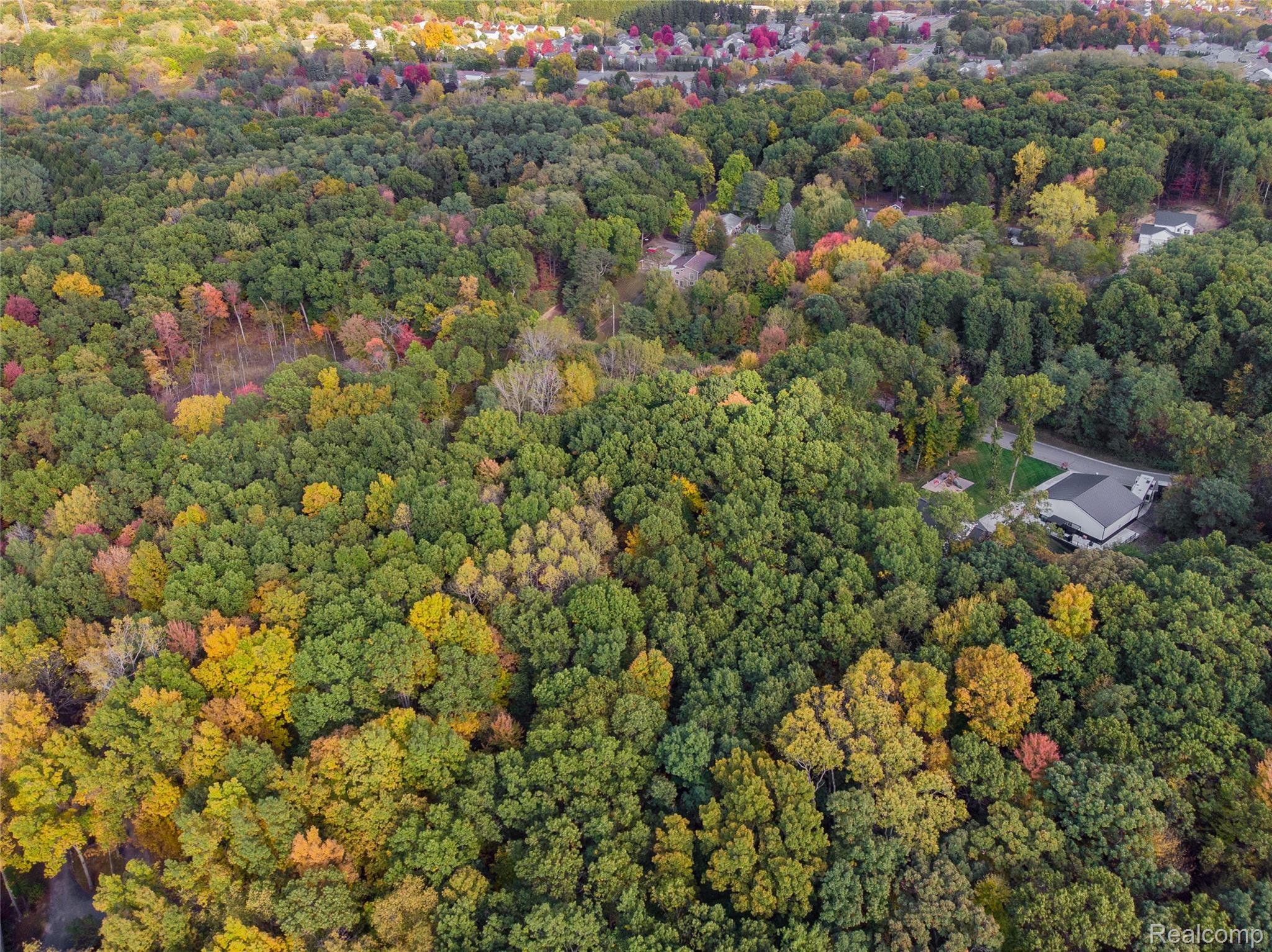 16363 Catalpa Ridge Drive