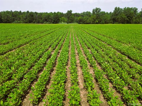 9654 BIRCH RUN Road Arbela Township MI 48746