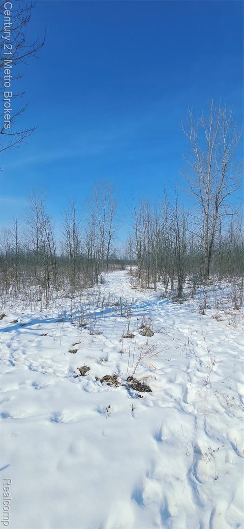 Parcel C Tabitha Lane Grand Blanc Charter Township MI 48439