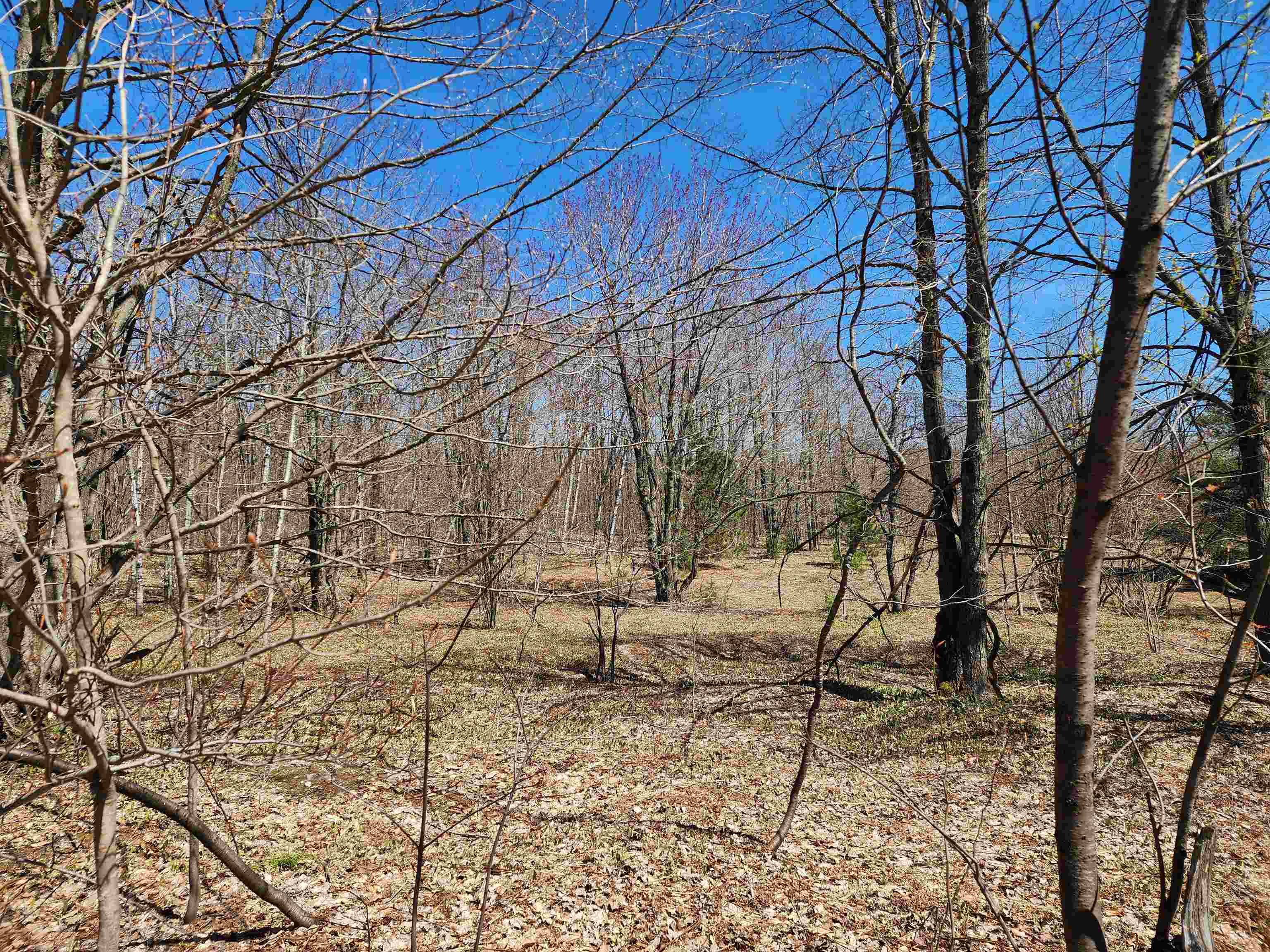 TBD Wilamont Circle