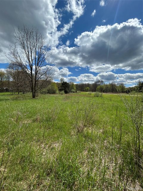 Parcel 2 E Coon Lake Rd Genoa Township MI 48843