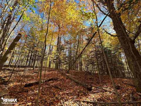 3077 Phelps Lake Road Dayton Township MI 48744